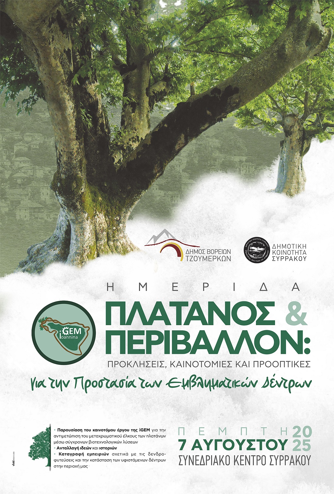 Πλάτανος και Περιβάλλον - αφίσα